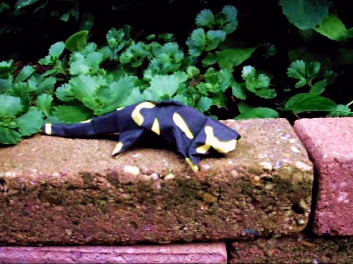 Origami Fire Salamander