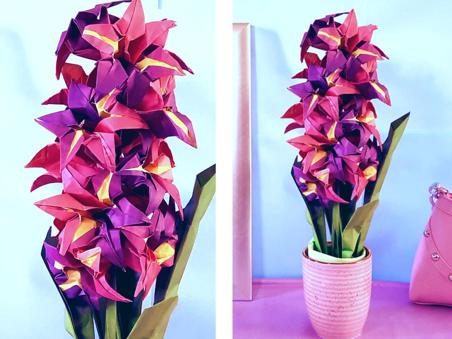 Origami Hyacinth