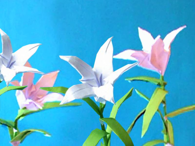 Origami Lilies