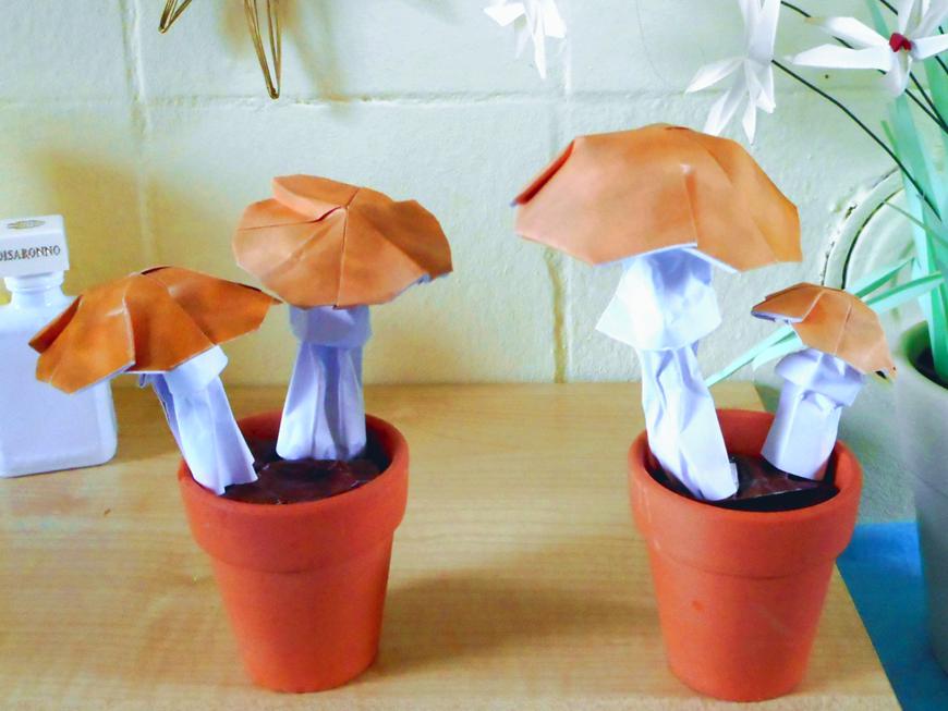 Origami Paddestoelen