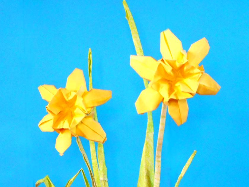 Origami Narcissus