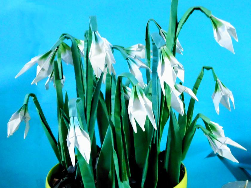 Origami Snowdrops