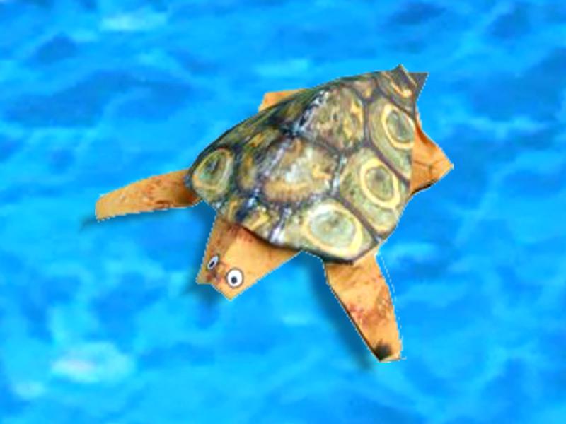 Origami Schildpad